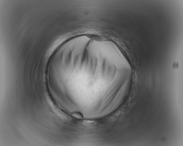 X0000111670055200908071507