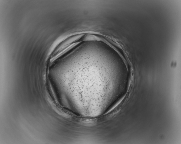 X0000111670056200908071507