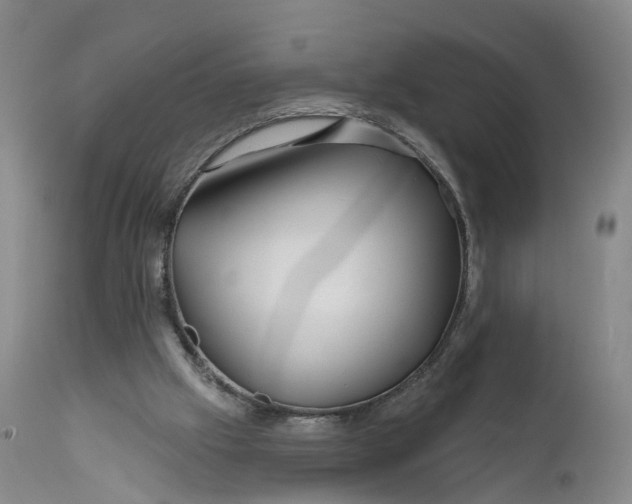 X0000111670057200908071507