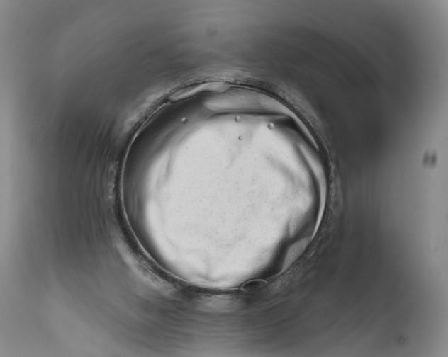 X0000111670058200908071507