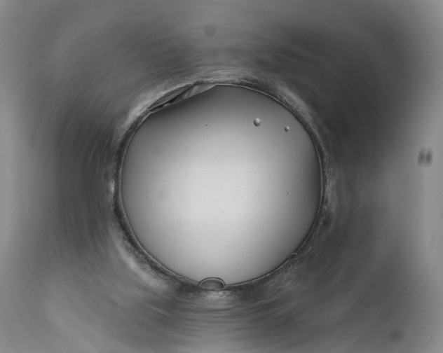 X0000111670059200908071507