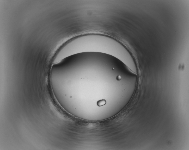 X0000111670060200908071507