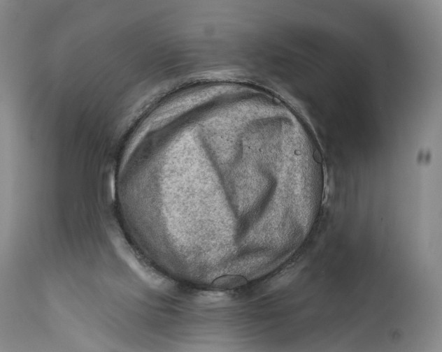 X0000111670061200908071507