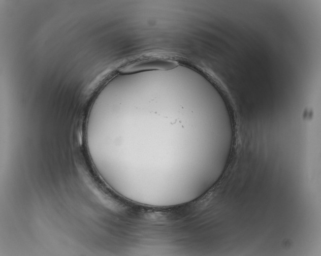 X0000111670062200908071507