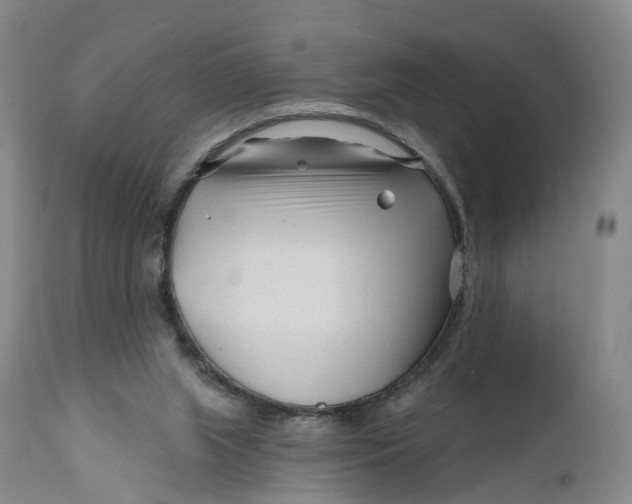 X0000111670063200908071507