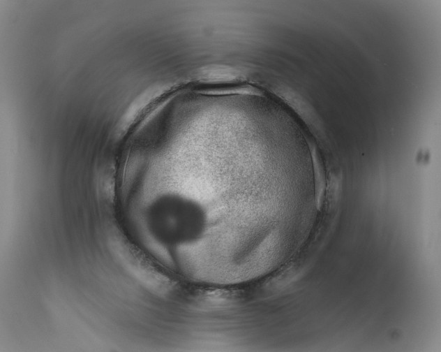 X0000111670064200908071507