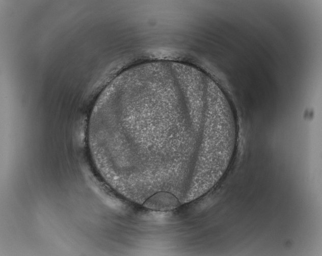 X0000111670065200908071507