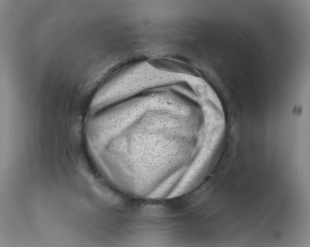 X0000111670066200908071507