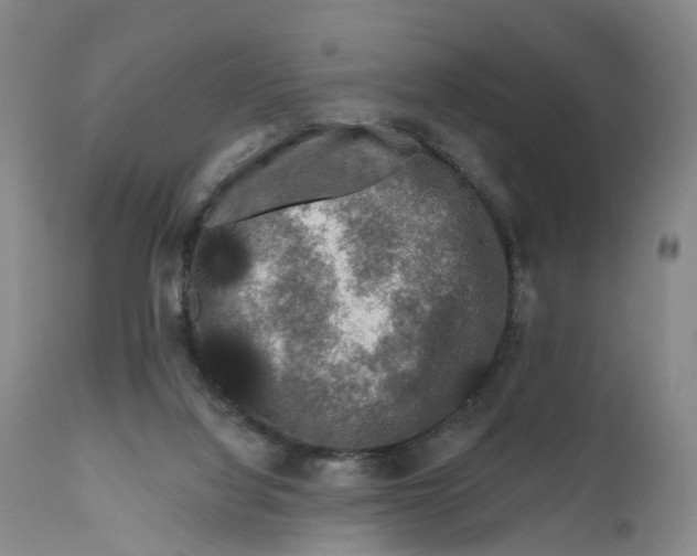 X0000111670068200908071507