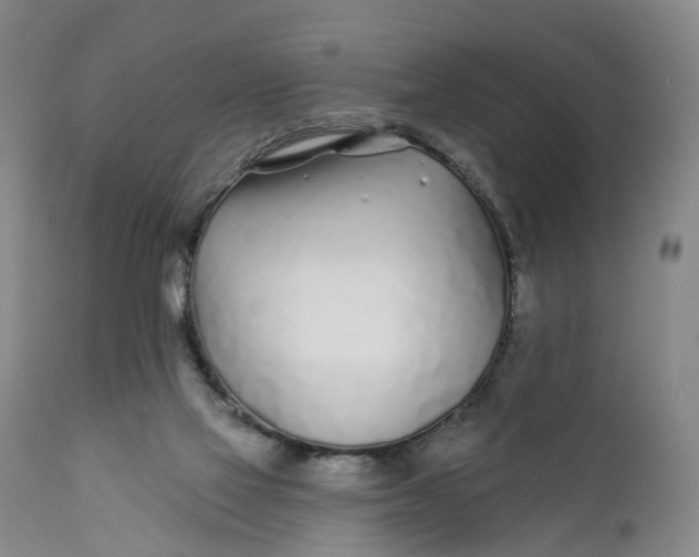 X0000111670069200908071507