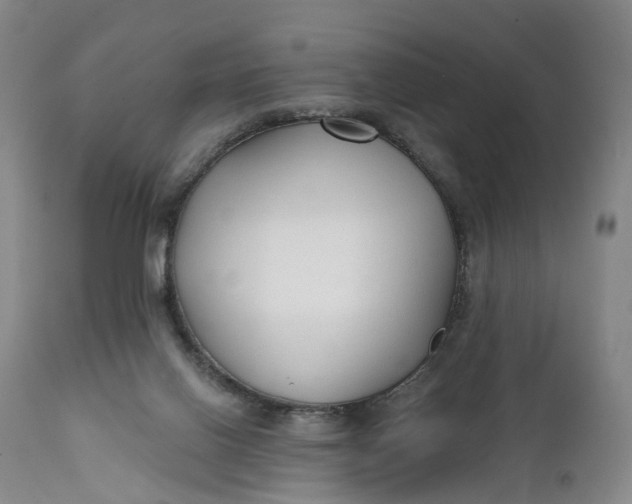 X0000111670070200908071507