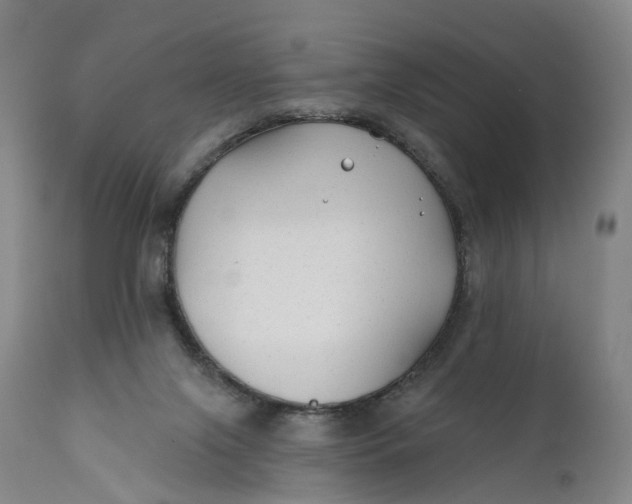 X0000111670071200908071507