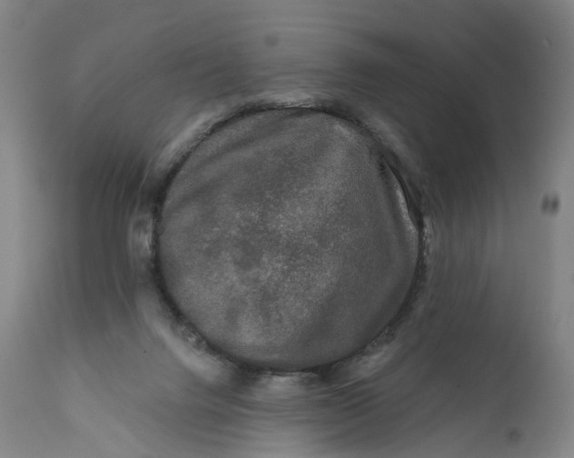 X0000111670072200908071507