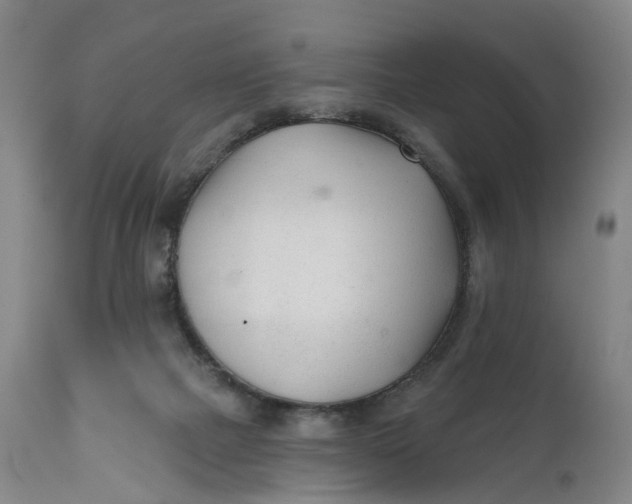 X0000111670073200908071507