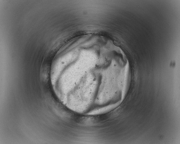 X0000111670074200908071507