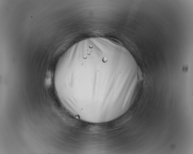 X0000111670075200908071507