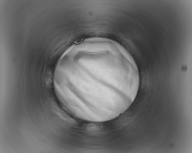 X0000111670077200908071507