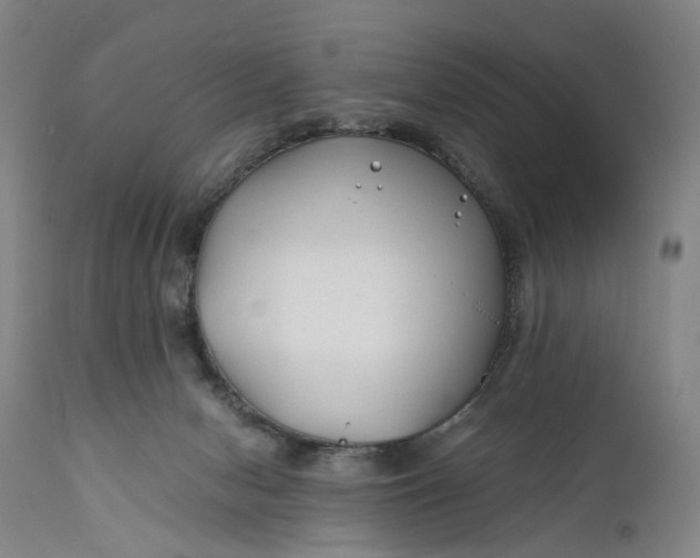 X0000111670078200908071507