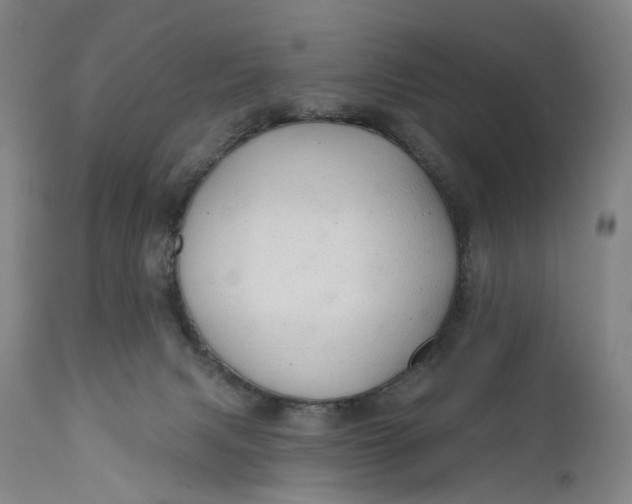 X0000111670079200908071507