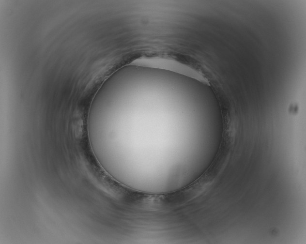 X0000111670080200908071507