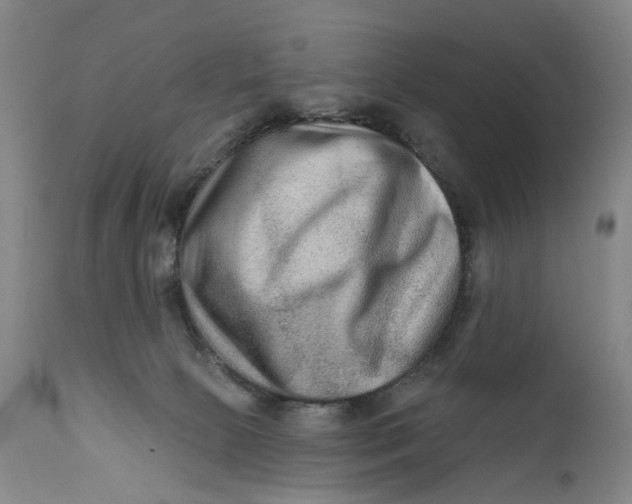 X0000111670081200908071507