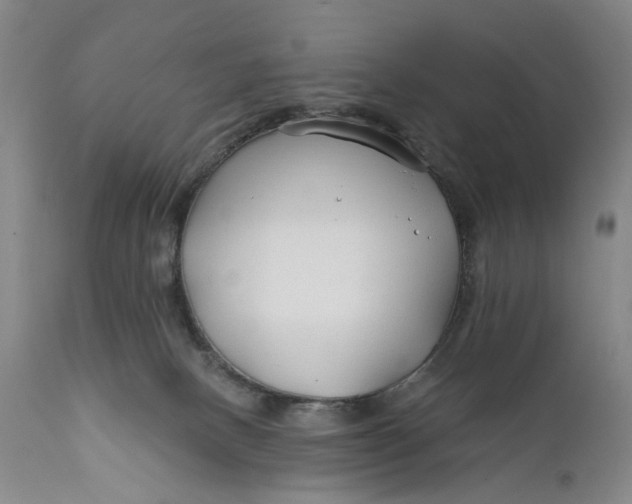 X0000111670082200908071507