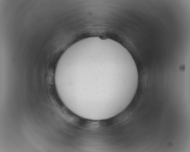 X0000111670083200908071507