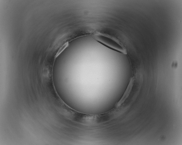 X0000111670084200908071508