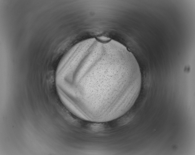 X0000111670085200908071508