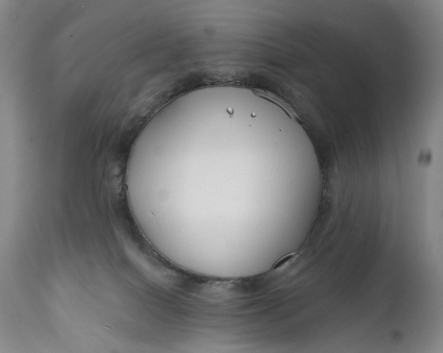 X0000111670086200908071508