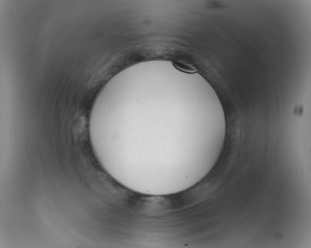 X0000111670087200908071508