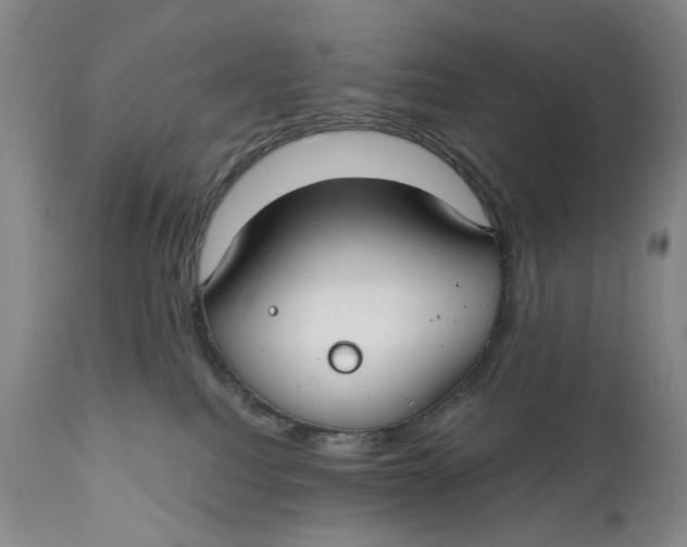 X0000111670088200908071508