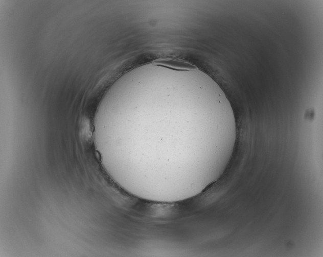 X0000111670089200908071508