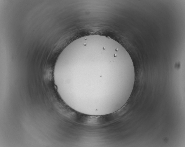 X0000111670090200908071508