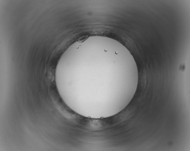 X0000111670091200908071508