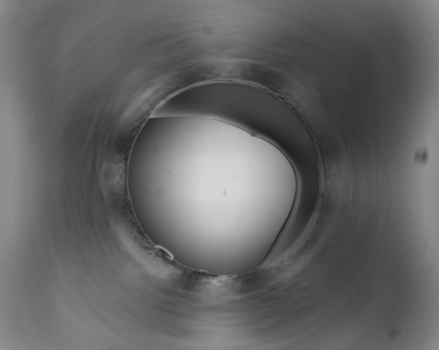 X0000111670092200908071508