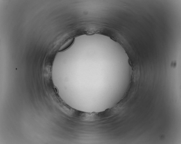 X0000111670093200908071508