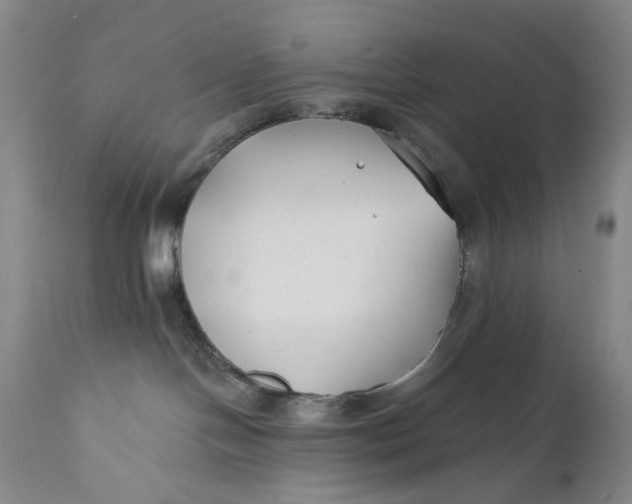 X0000111670094200908071508