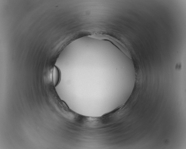 X0000111670095200908071508