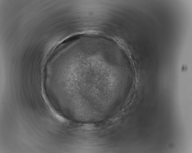 X0000111670097200908071507