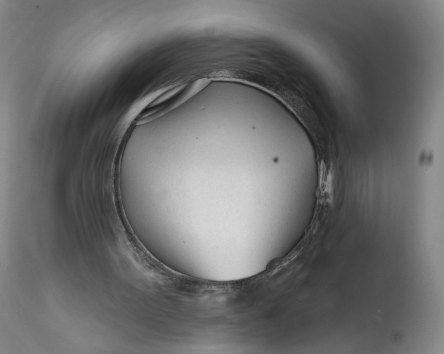 X0000111670099200908071507