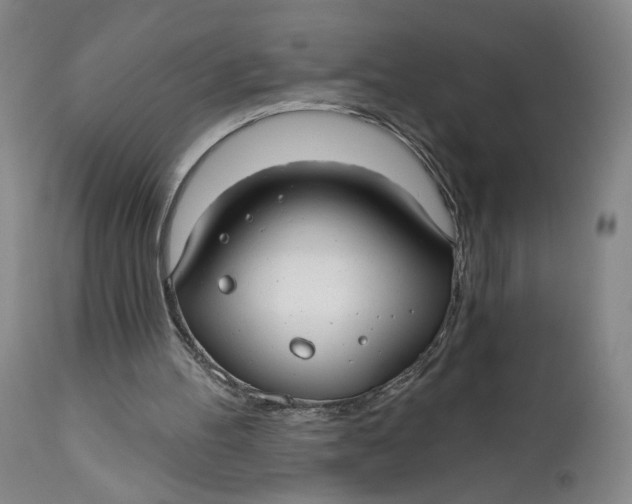 X0000111670100200908071507