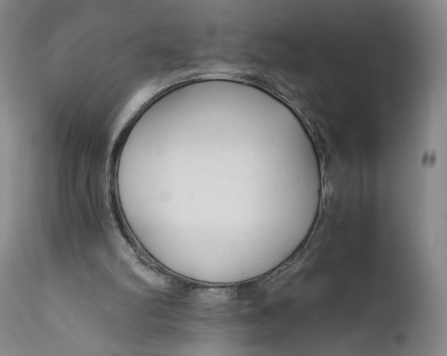 X0000111670102200908071507