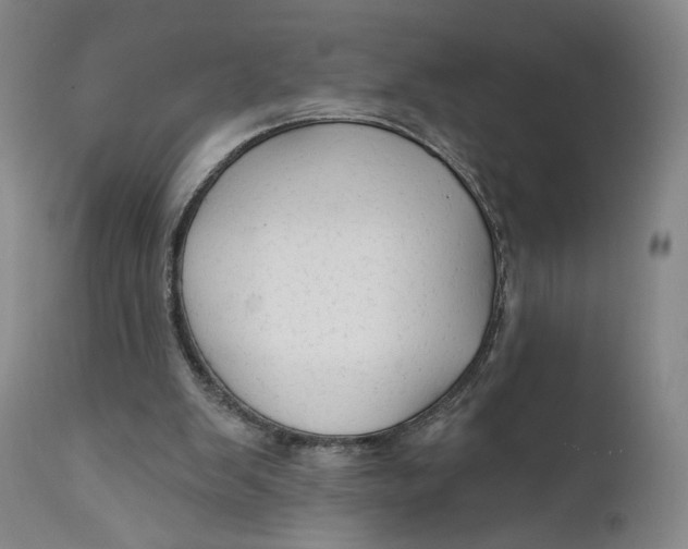 X0000111670103200908071507