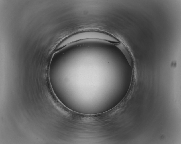 X0000111670105200908071507