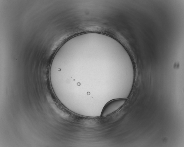 X0000111670106200908071507