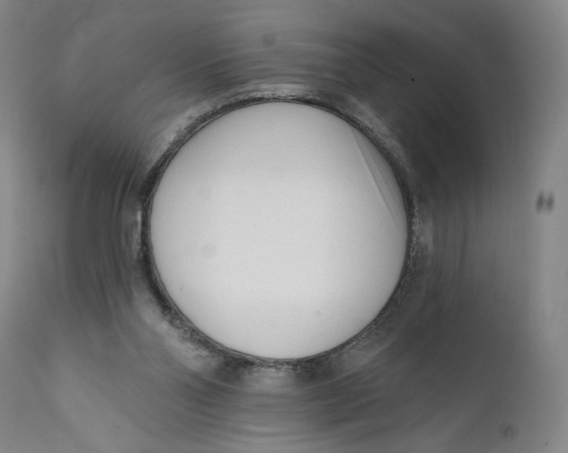 X0000111670110200908071507