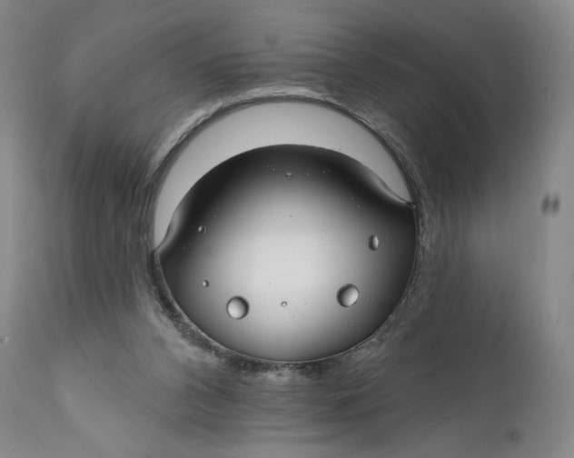 X0000111670112200908071507