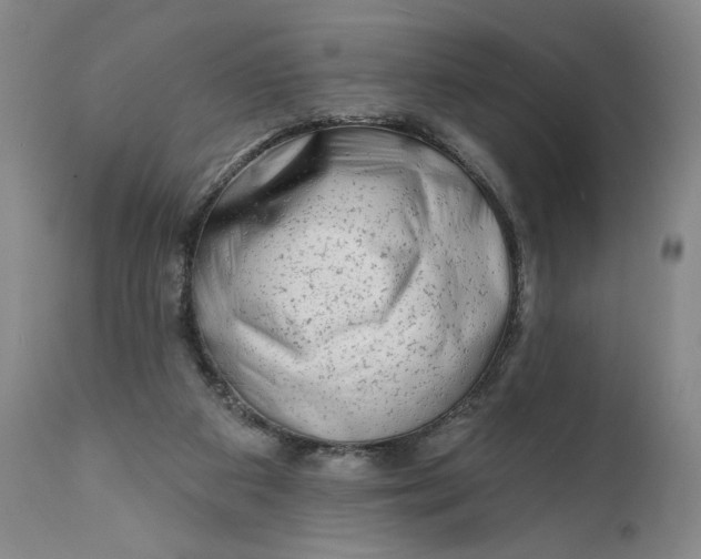 X0000111670113200908071507