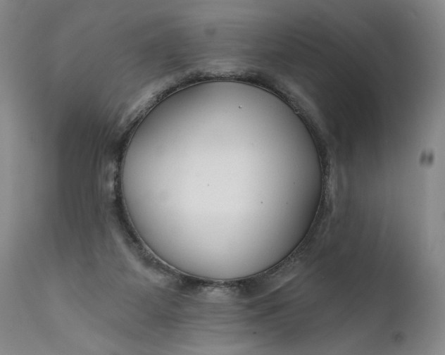 X0000111670115200908071507